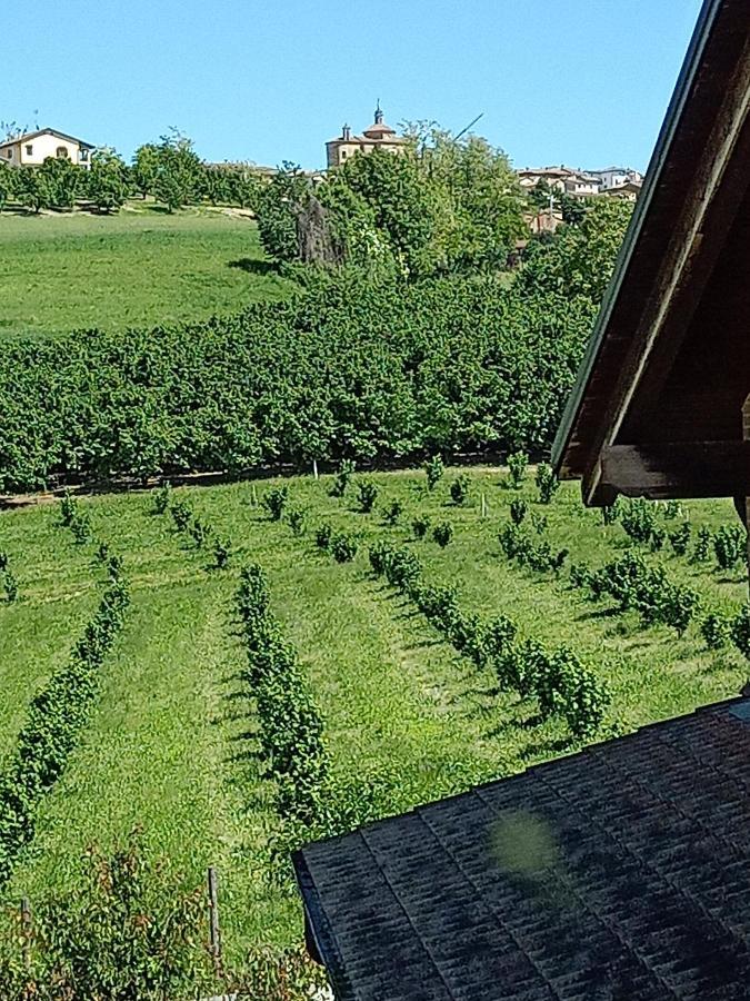 Vite Dipinte 1 Bilocale In Langa Apartment Novello Bagian luar foto